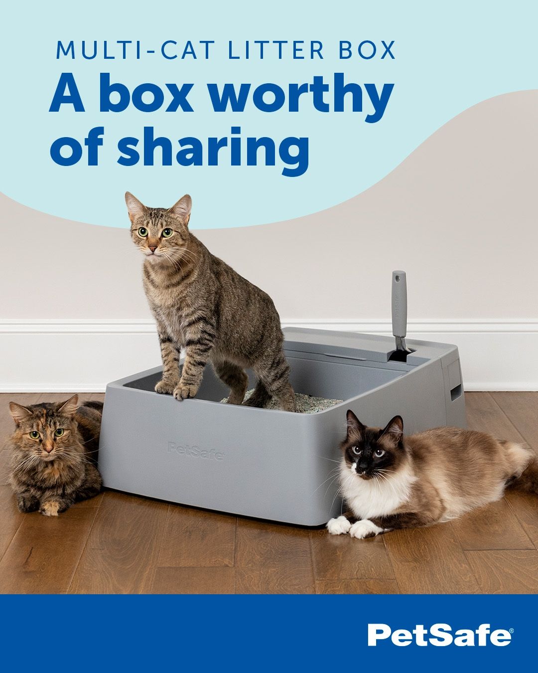 PETSAFE INF PET 1: Infographics