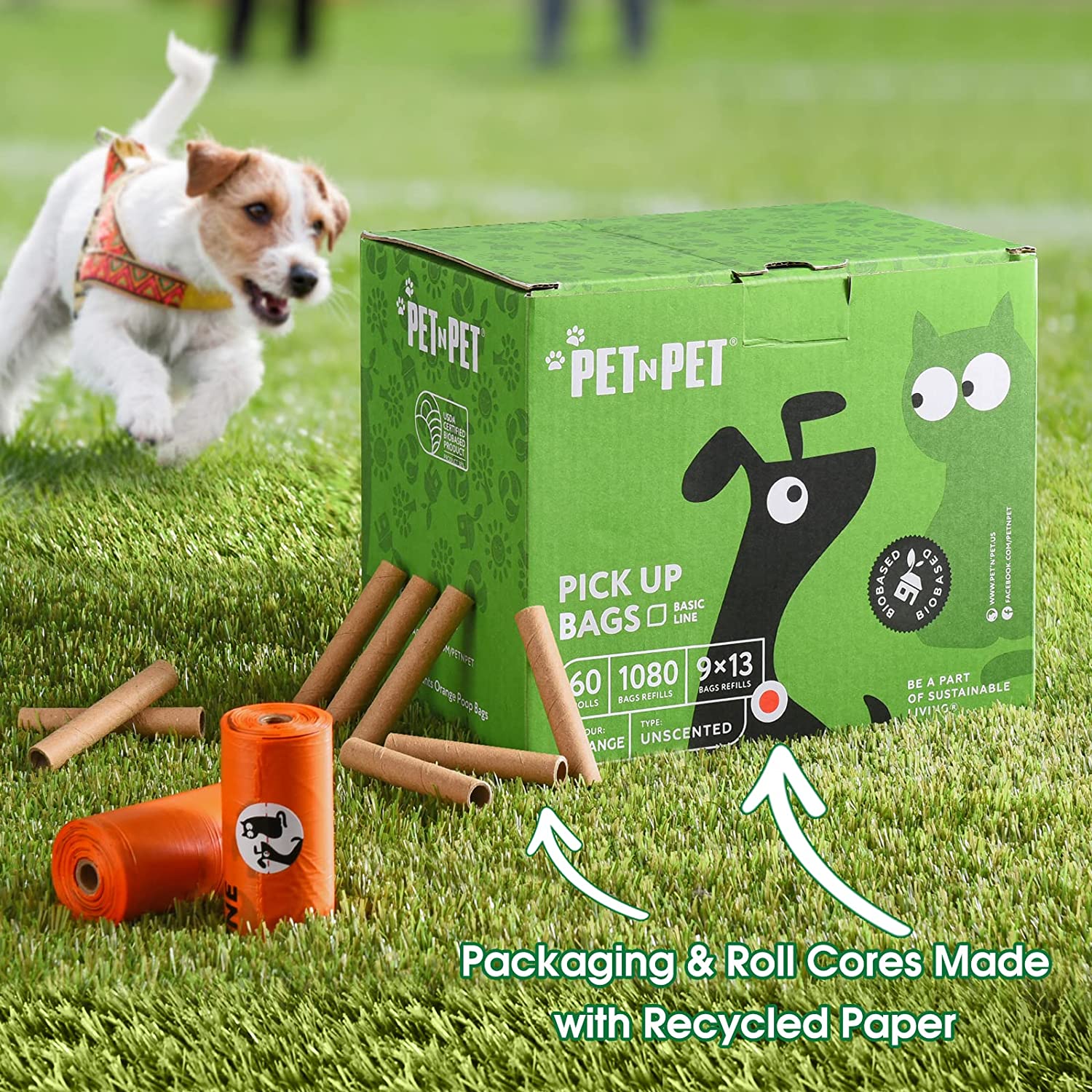 PET N PET INF PET 1: Infographics