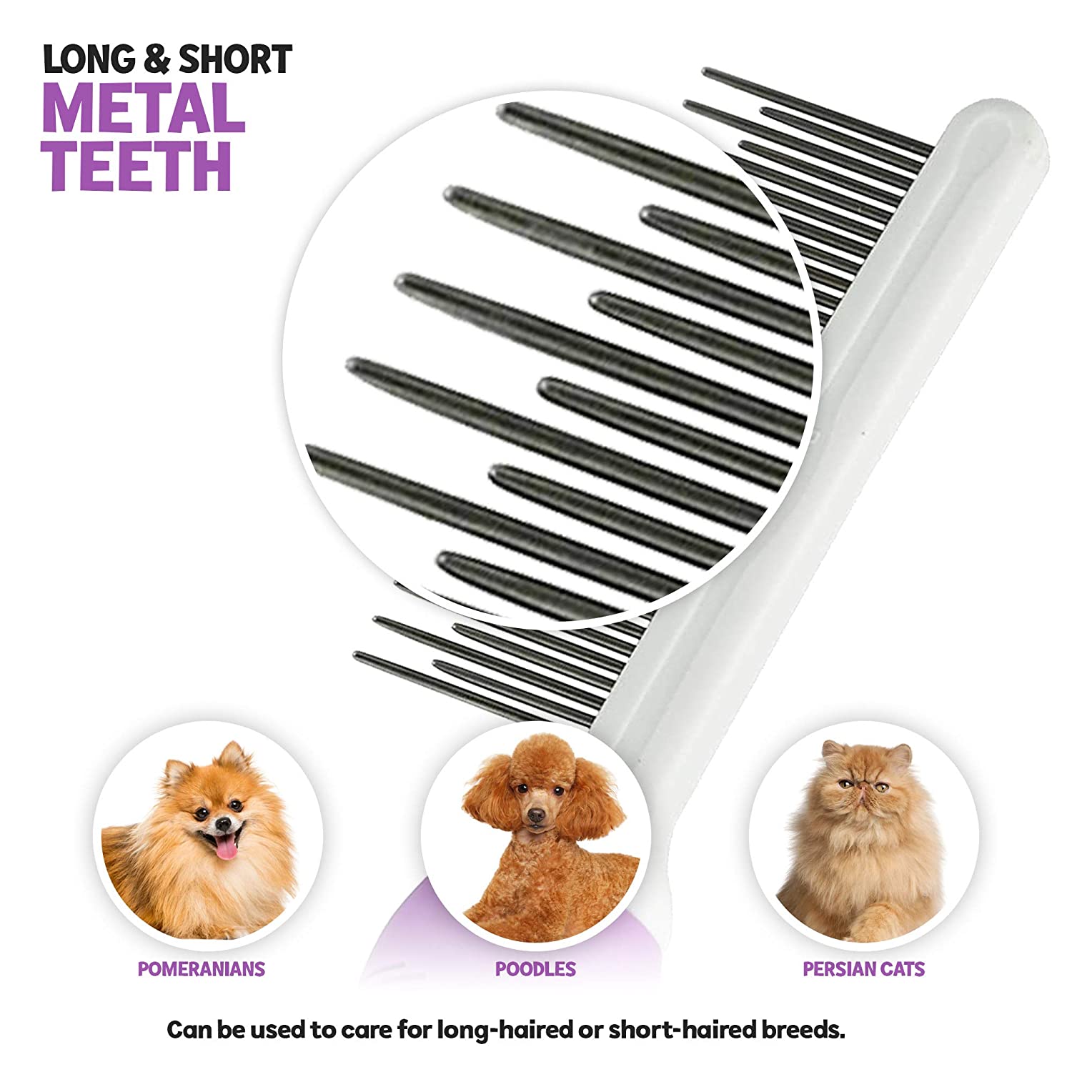 POODLE INF PET 2: Infographics