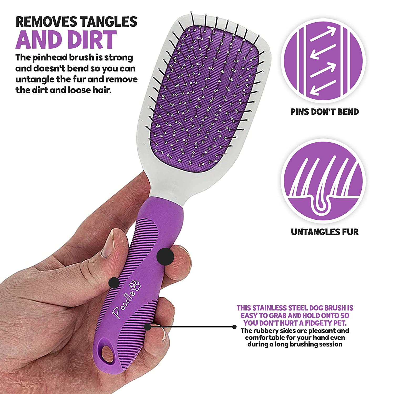 POODLE INF PET 6: Infographics