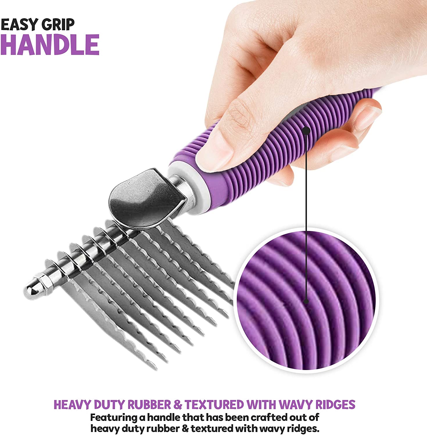 POODLE INF PET 7: Infographics