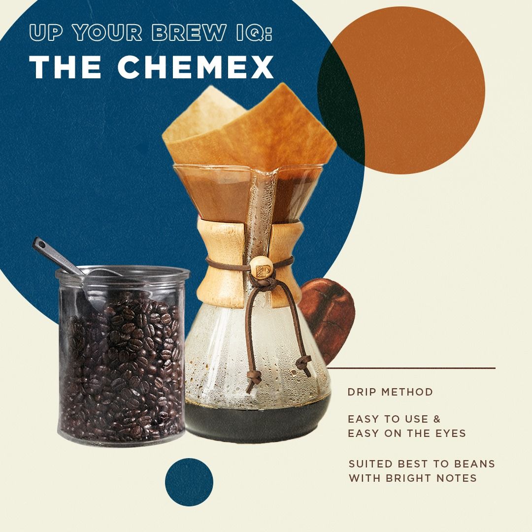 Peet's Coffee 17: Infographics