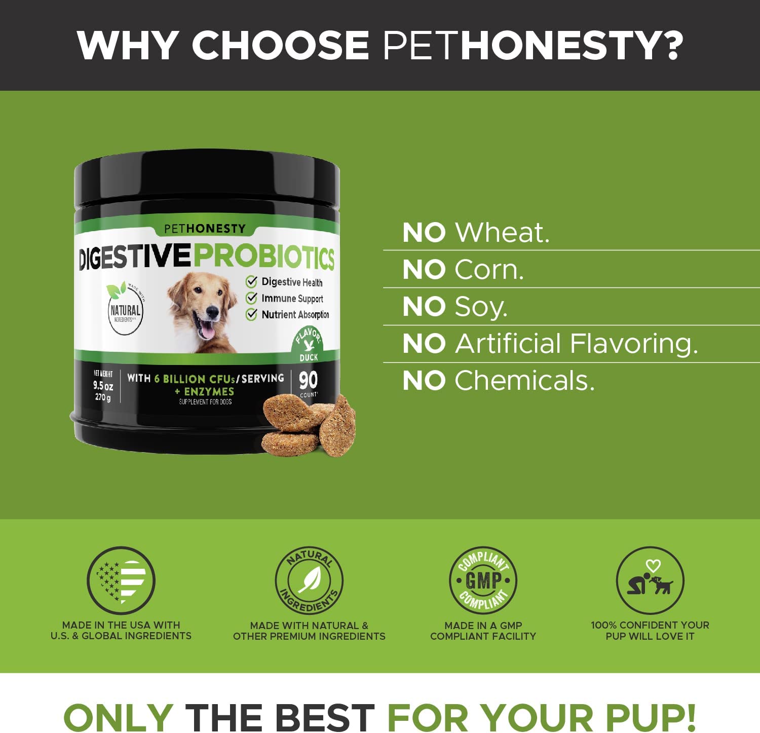 PetHonesty INF PET 13: Infographics