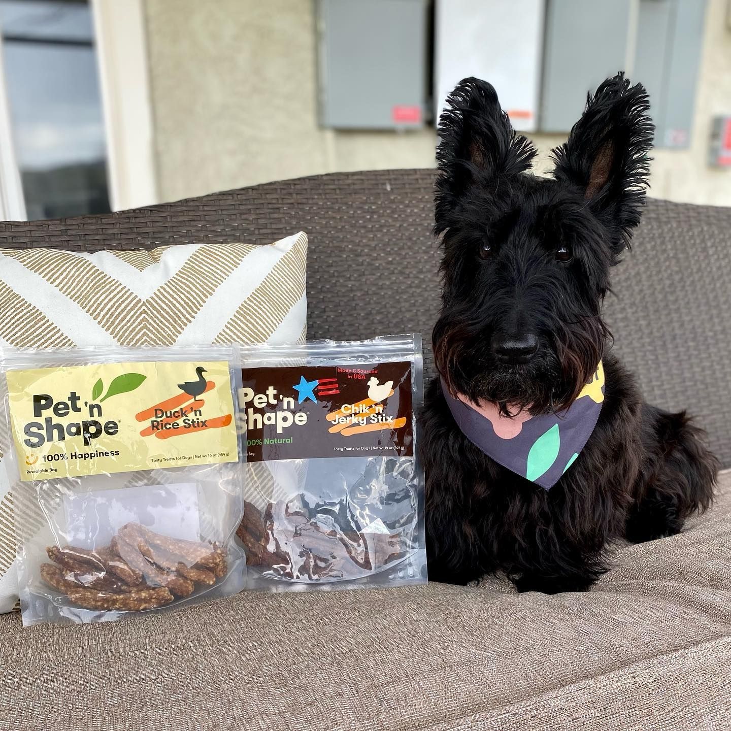 Pet 'n Shape 15: Lifestyle Secondary Images