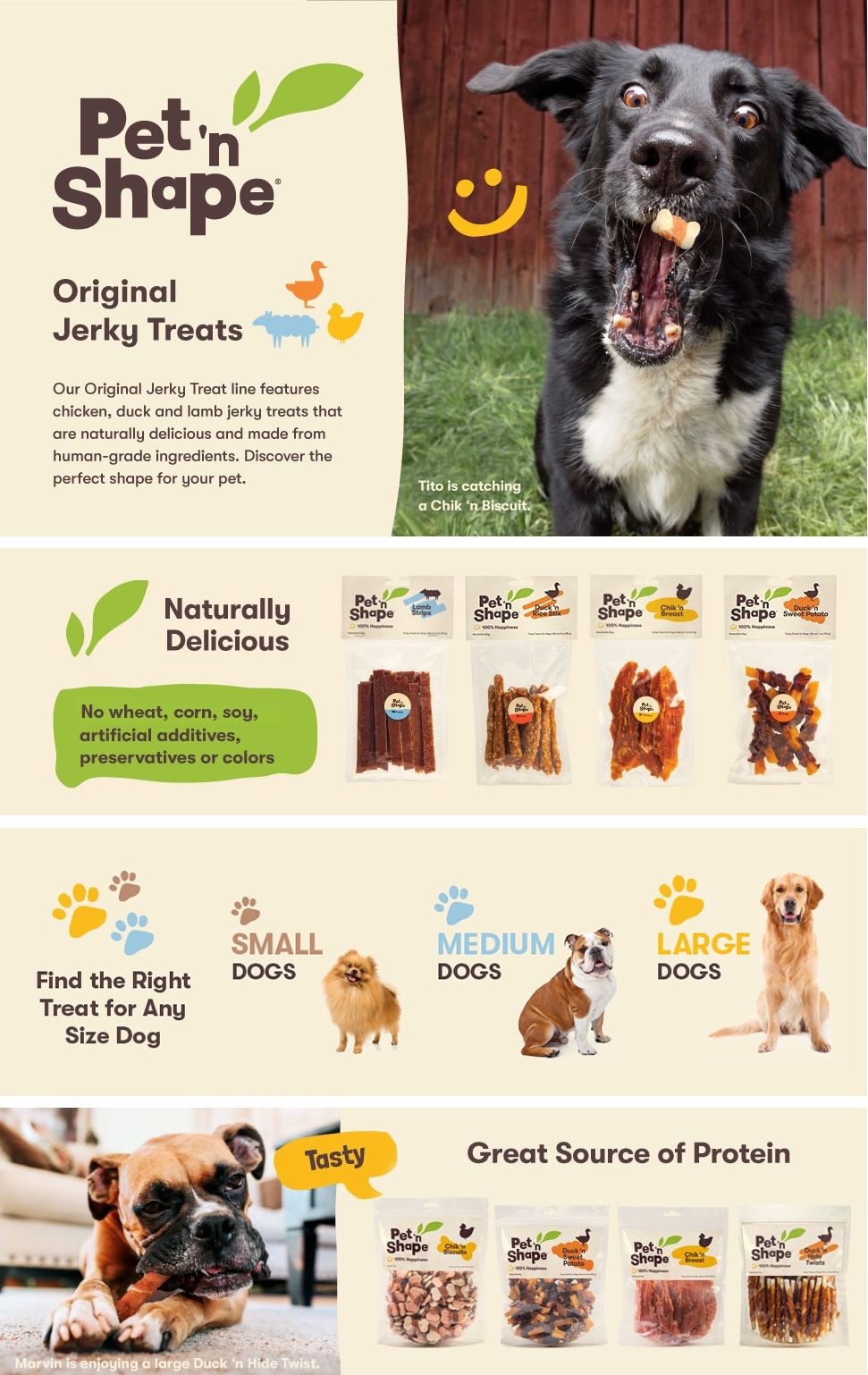 Pet 'n Shape 1: A+
