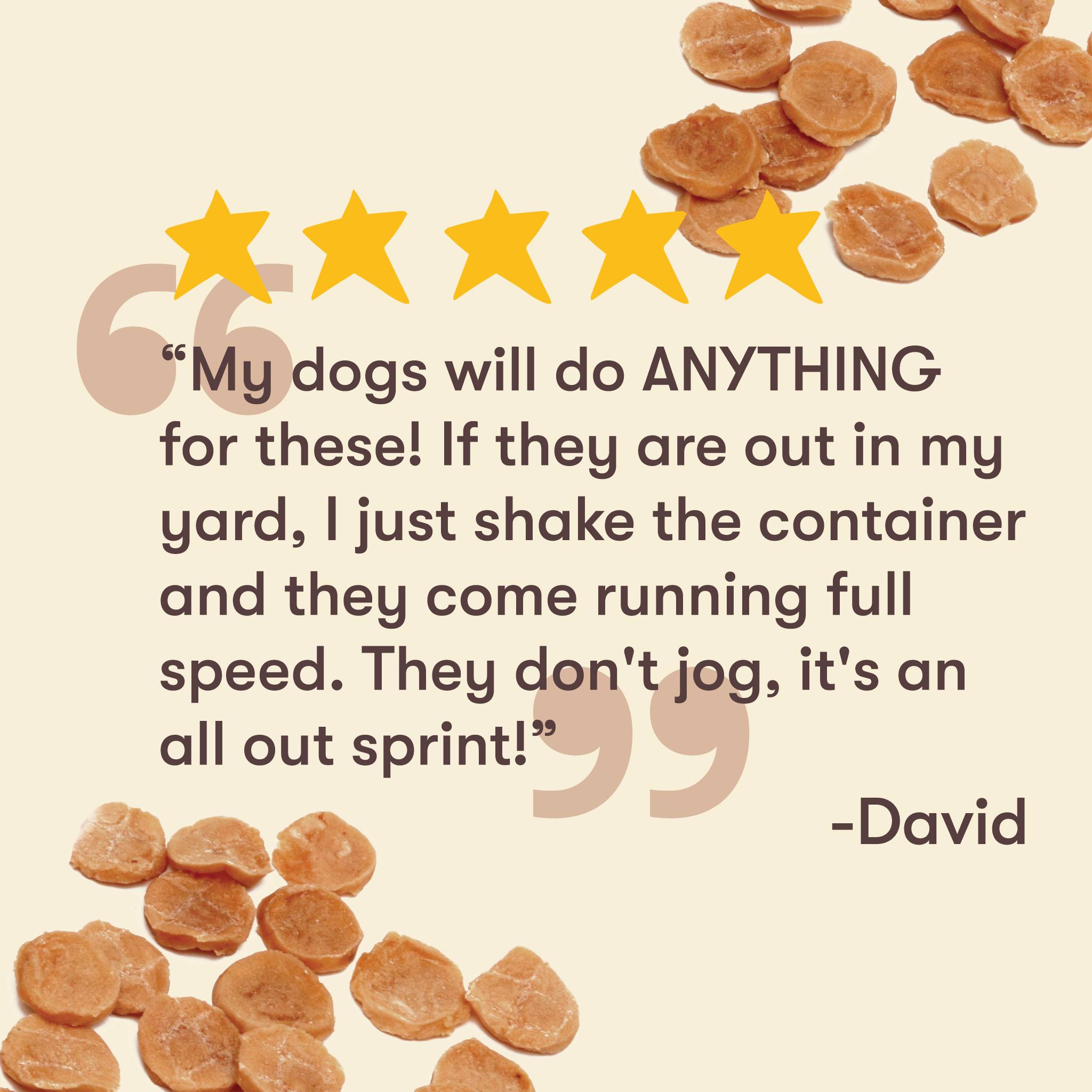 Pet 'n Shape 20: Testimonial Secondary Images