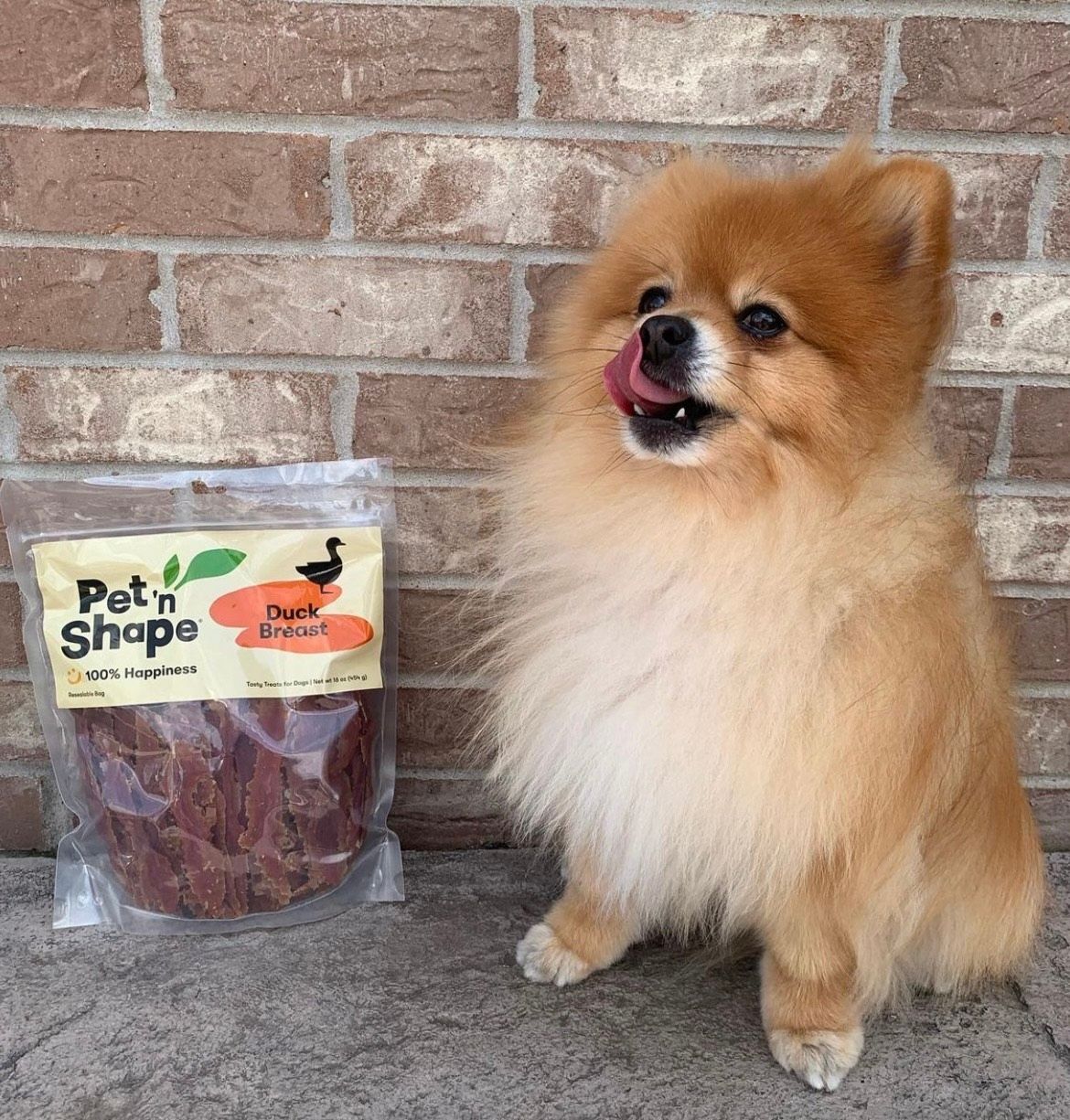 Pet 'n Shape 7: Lifestyle Secondary Images