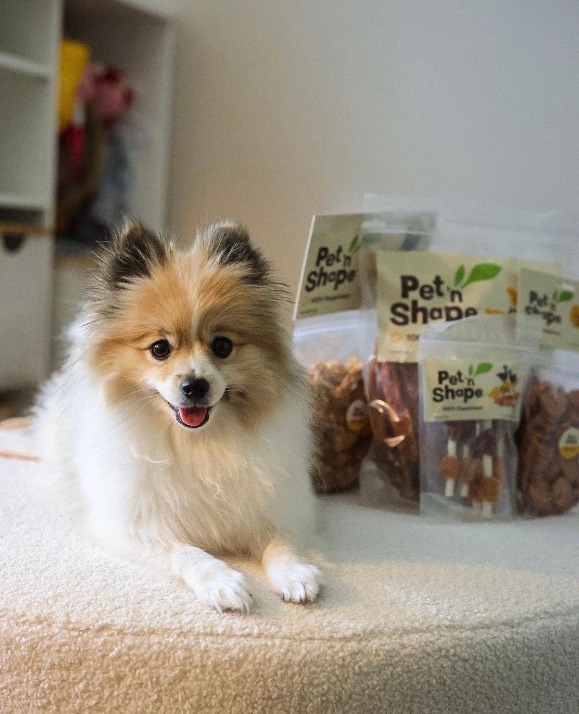 Pet 'n Shape 9: Lifestyle Secondary Images