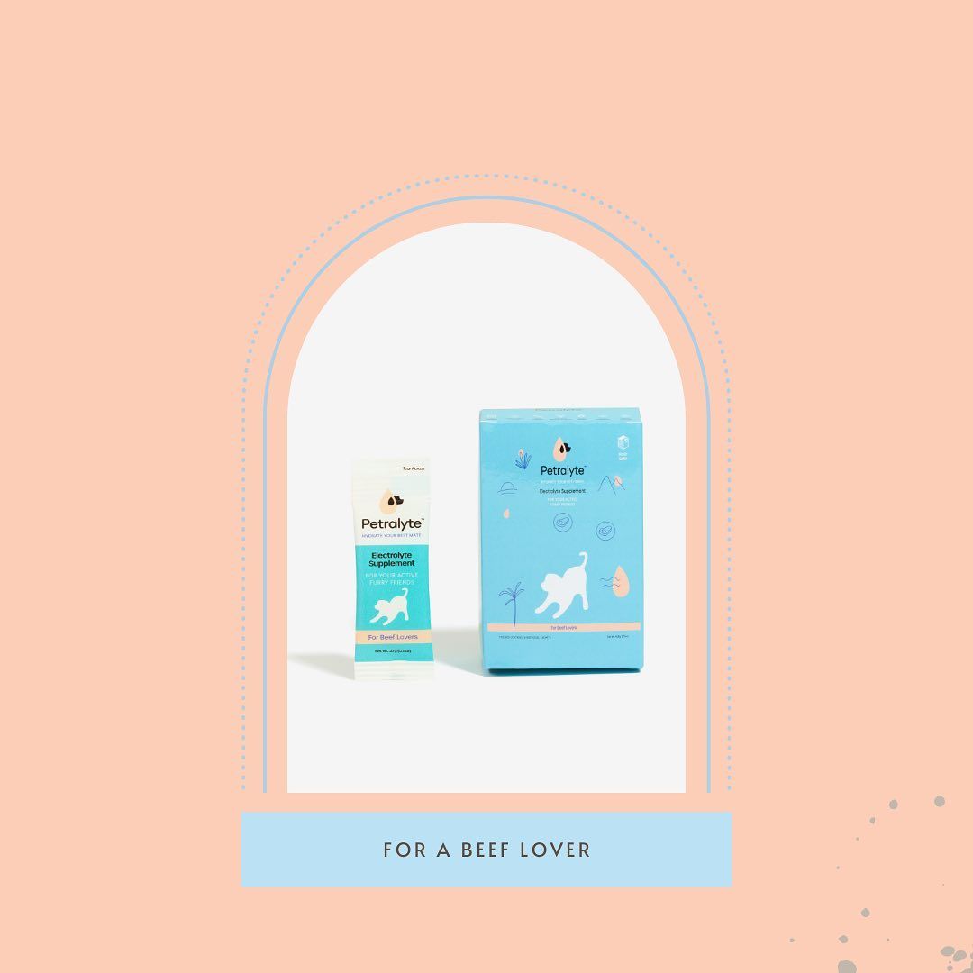 Petralyte 23: Infographics