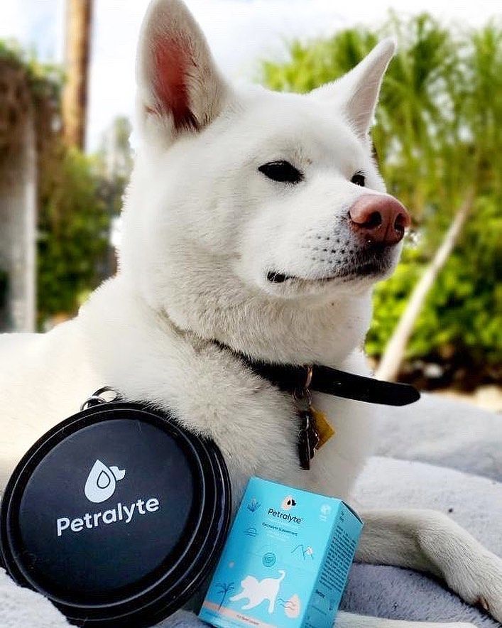 Petralyte 4: Lifestyle Secondary Images