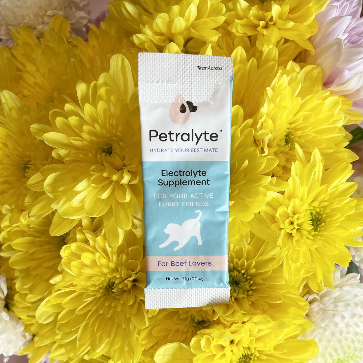 Petralyte 6: Lifestyle Secondary Images