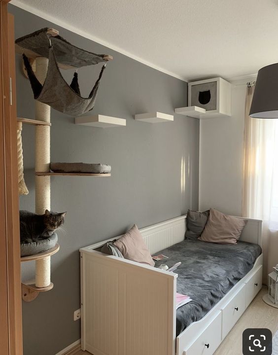 Pet Decor: Lifestyle Secondary Images