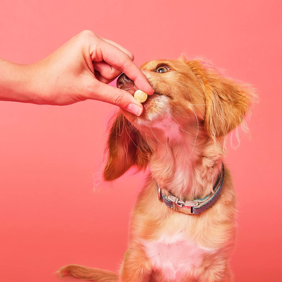 Pooch and Mutt 12: Backdrops