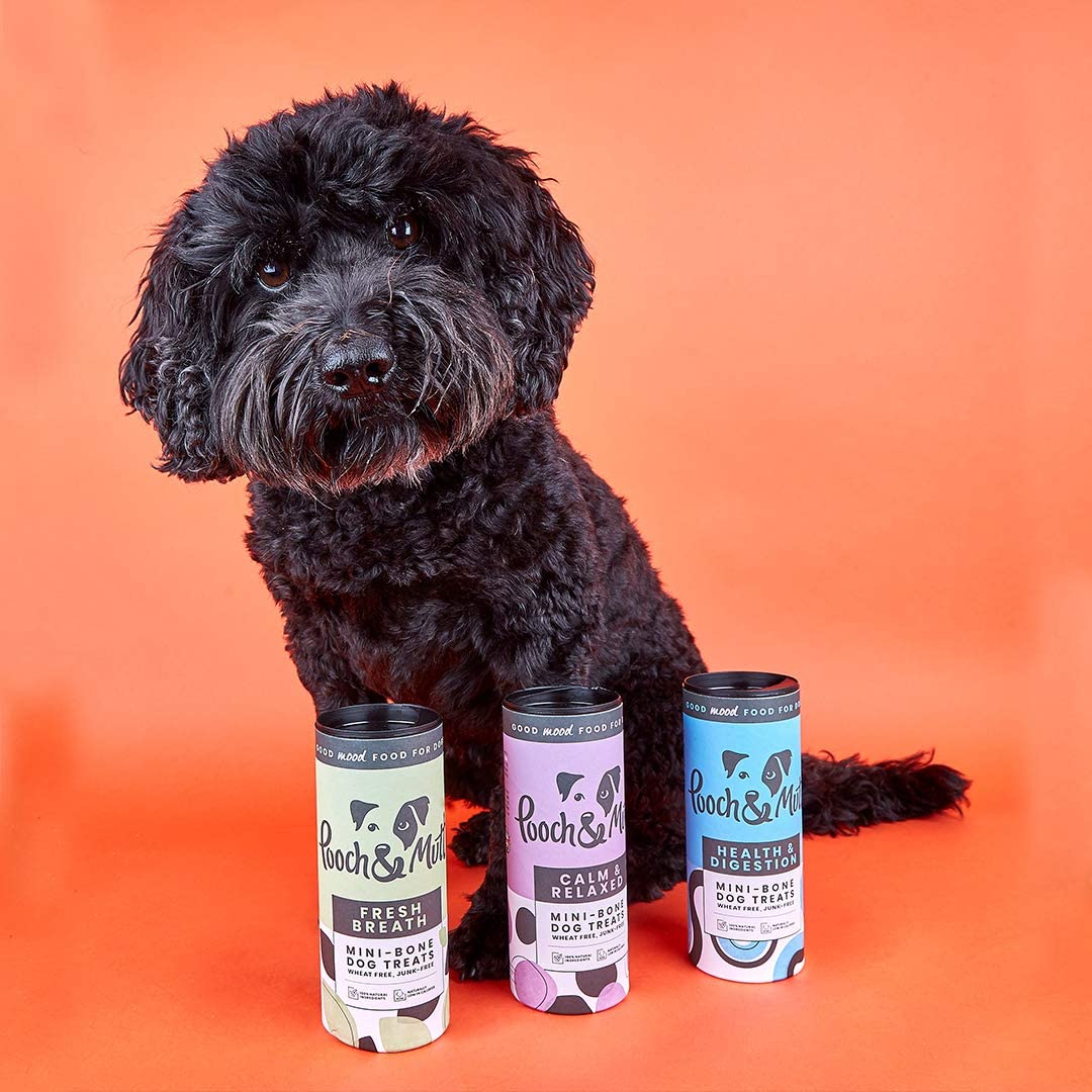 Pooch and Mutt 13: Backdrops