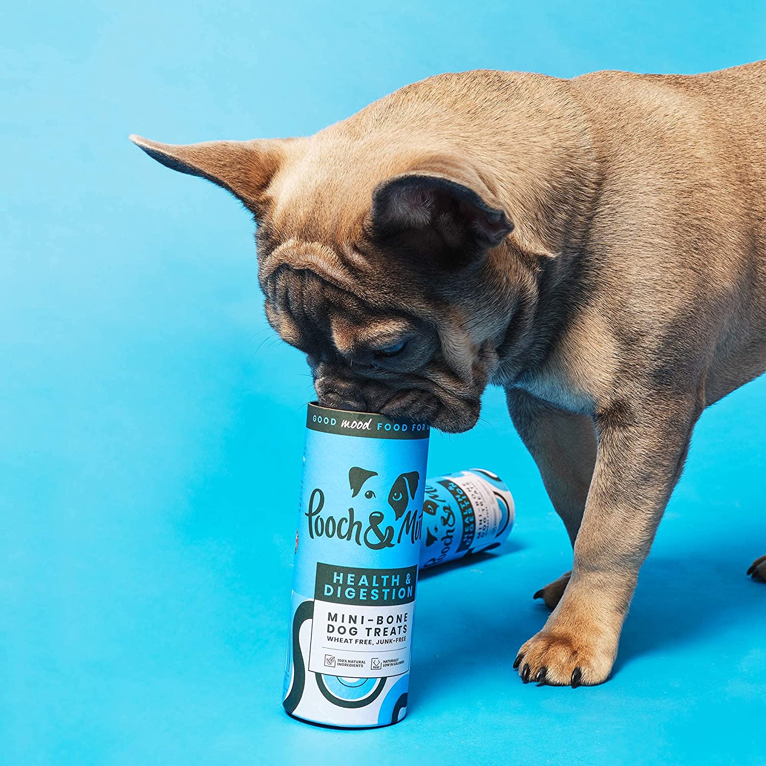 Pooch and Mutt 15: Backdrops