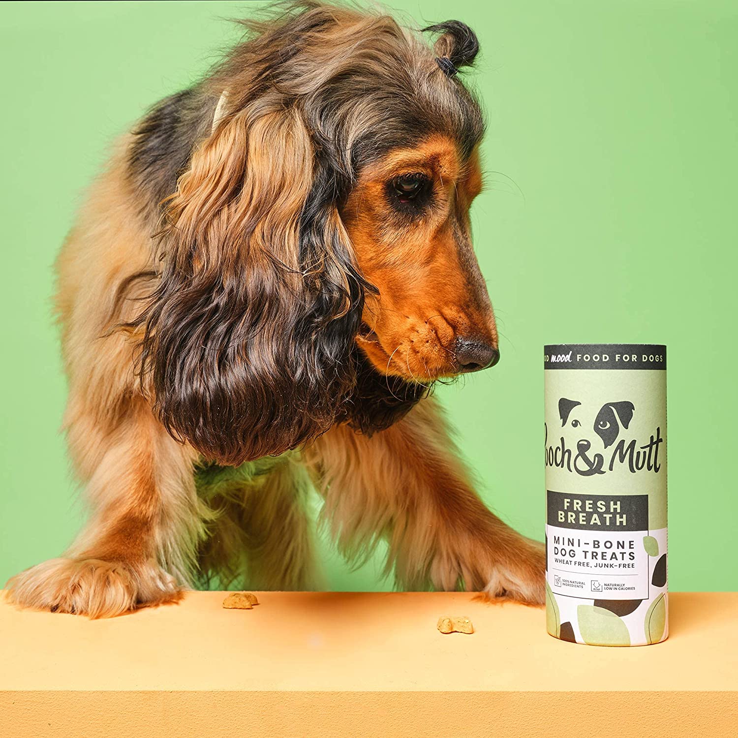 Pooch and Mutt 16: Backdrops