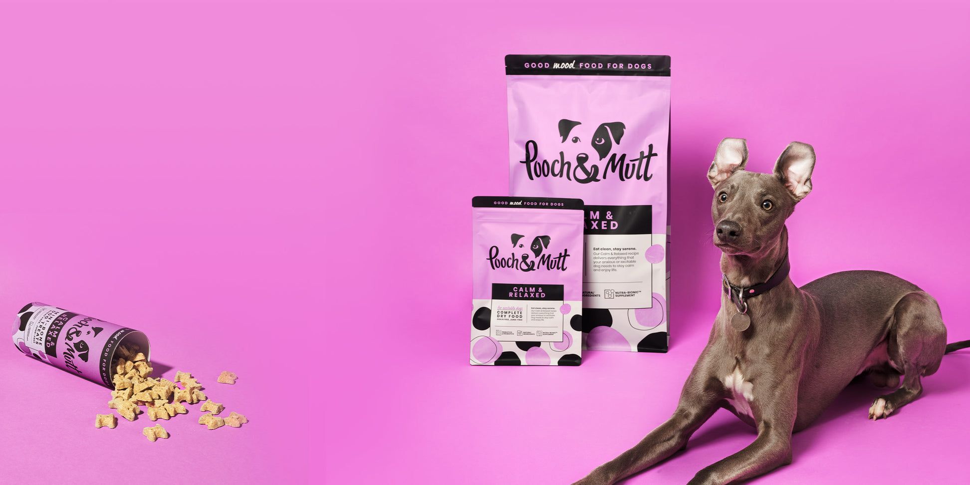 Pooch and Mutt 25: Backdrops