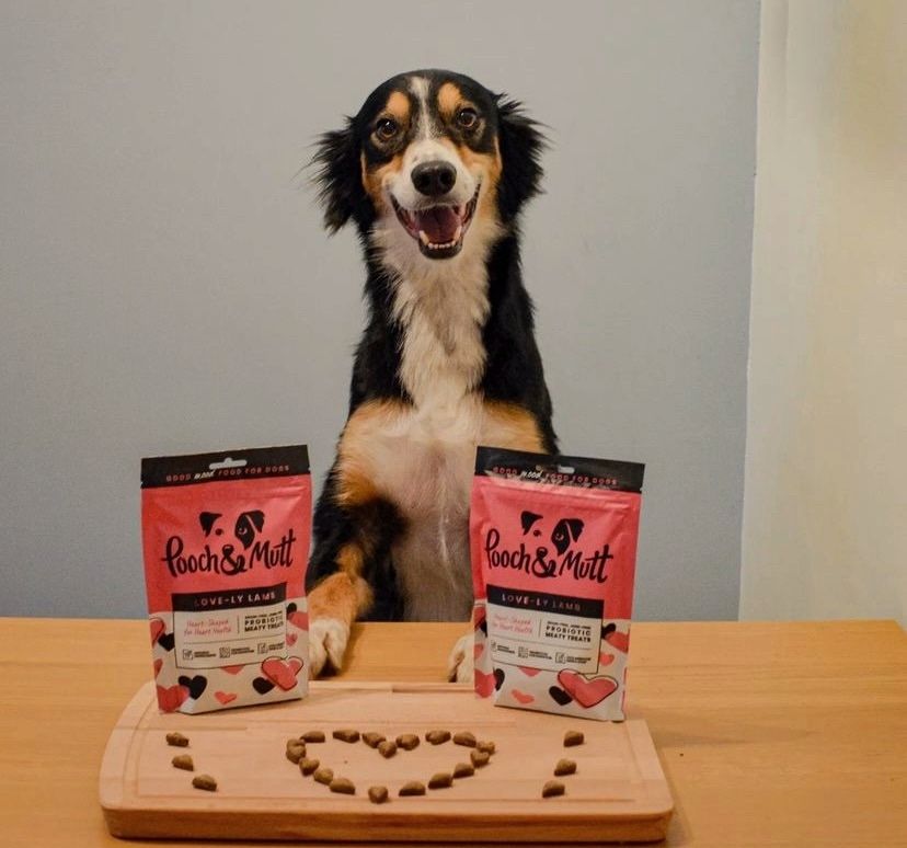 Pooch and Mutt 32: UGC Secondary Images