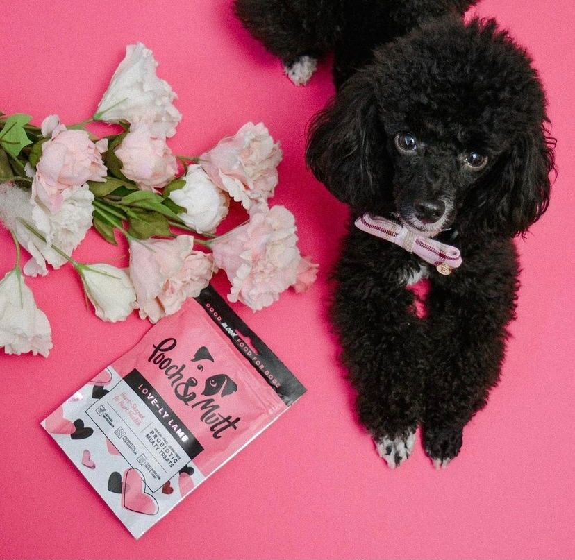 Pooch and Mutt 34: Backdrops