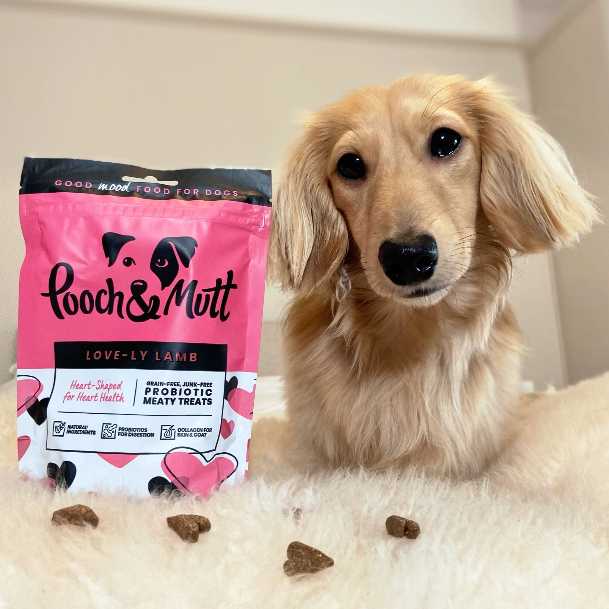 Pooch and Mutt 36: UGC Secondary Images