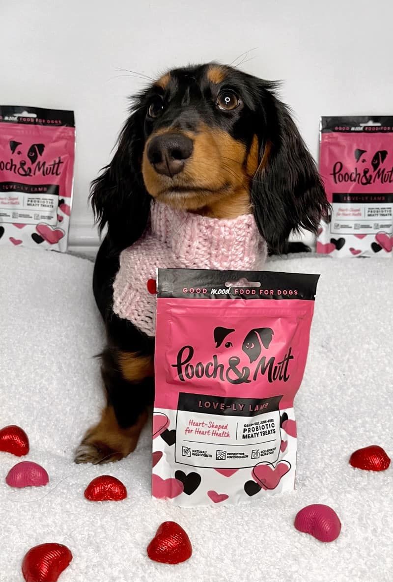 Pooch and Mutt 38: UGC Secondary Images