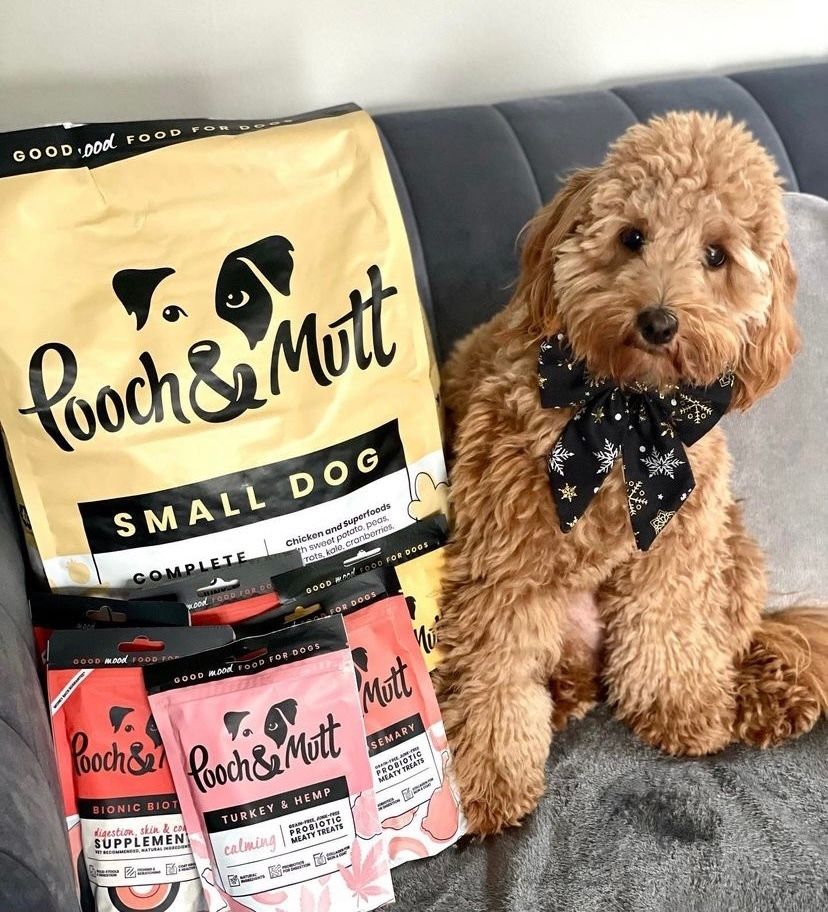 Pooch and Mutt 41: UGC Secondary Images