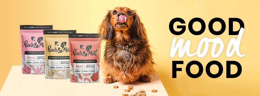 Pooch and Mutt 42: A+