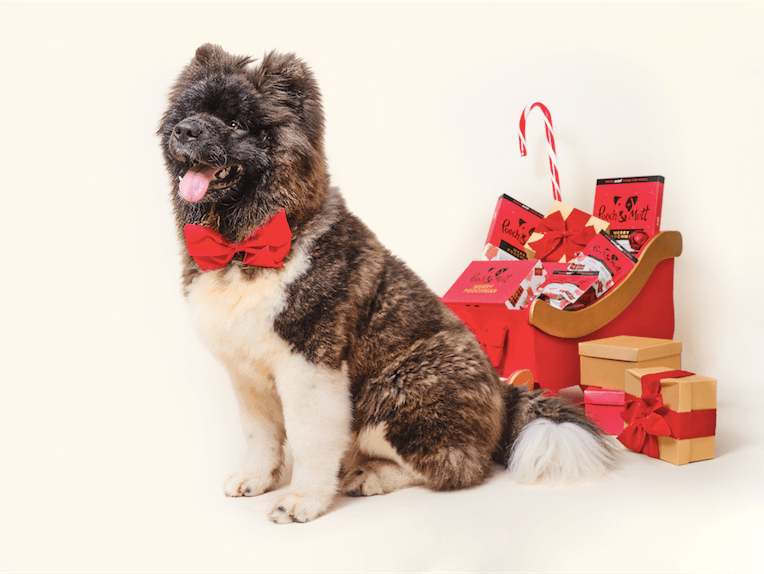 Pooch and Mutt 45: Lifestyle Secondary Images