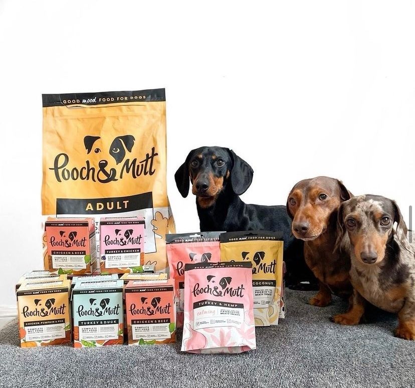 Pooch and Mutt 46: Lifestyle Secondary Images