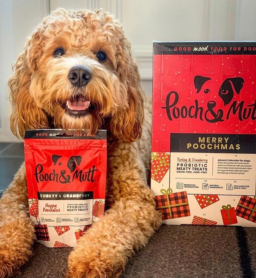 Pooch and Mutt 48: UGC Secondary Images