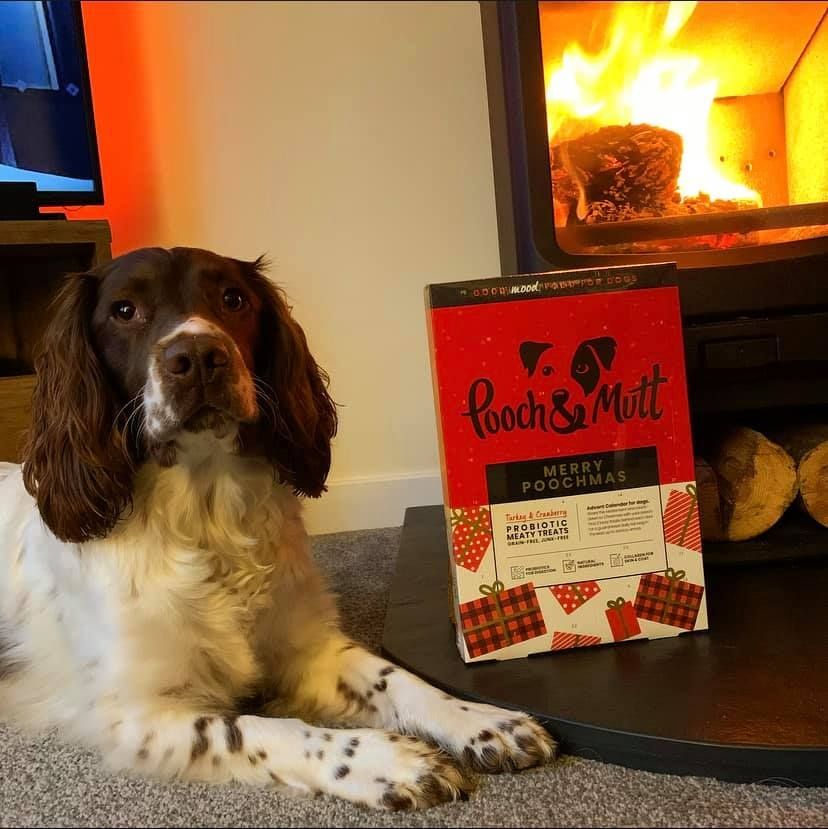 Pooch and Mutt 49: UGC Secondary Images
