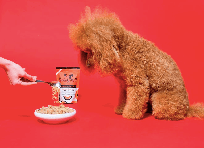 Pooch and Mutt 50: Backdrops