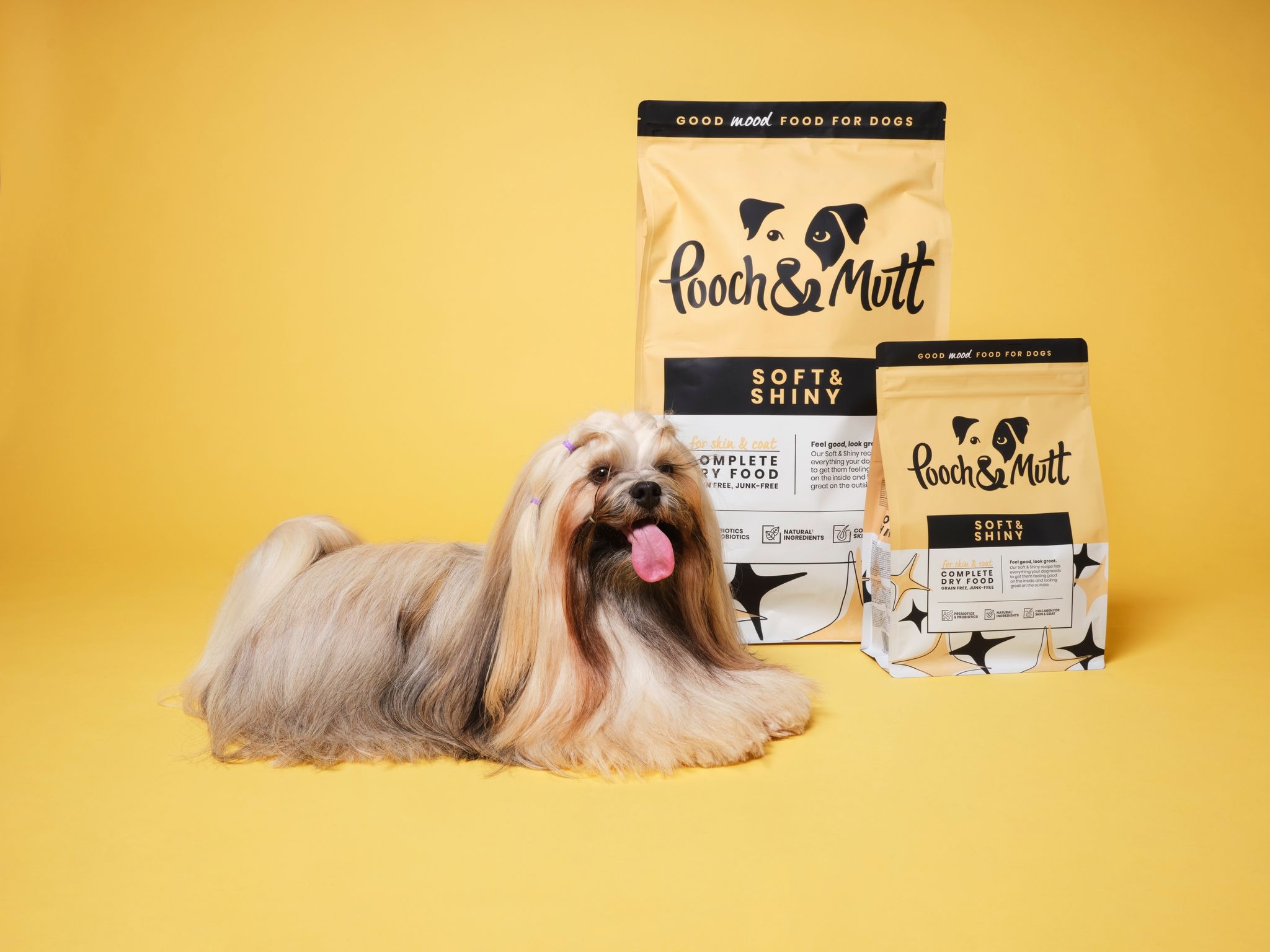 Pooch and Mutt 52: Backdrops