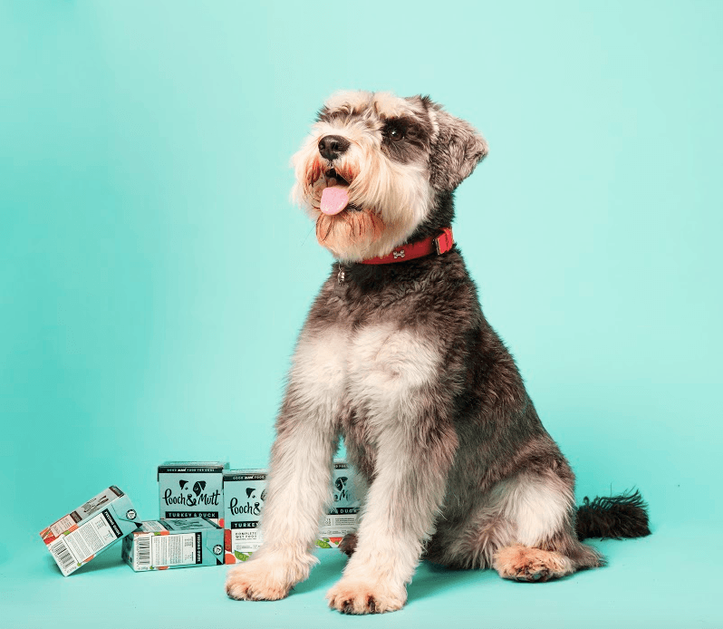 Pooch and Mutt 60: Backdrops