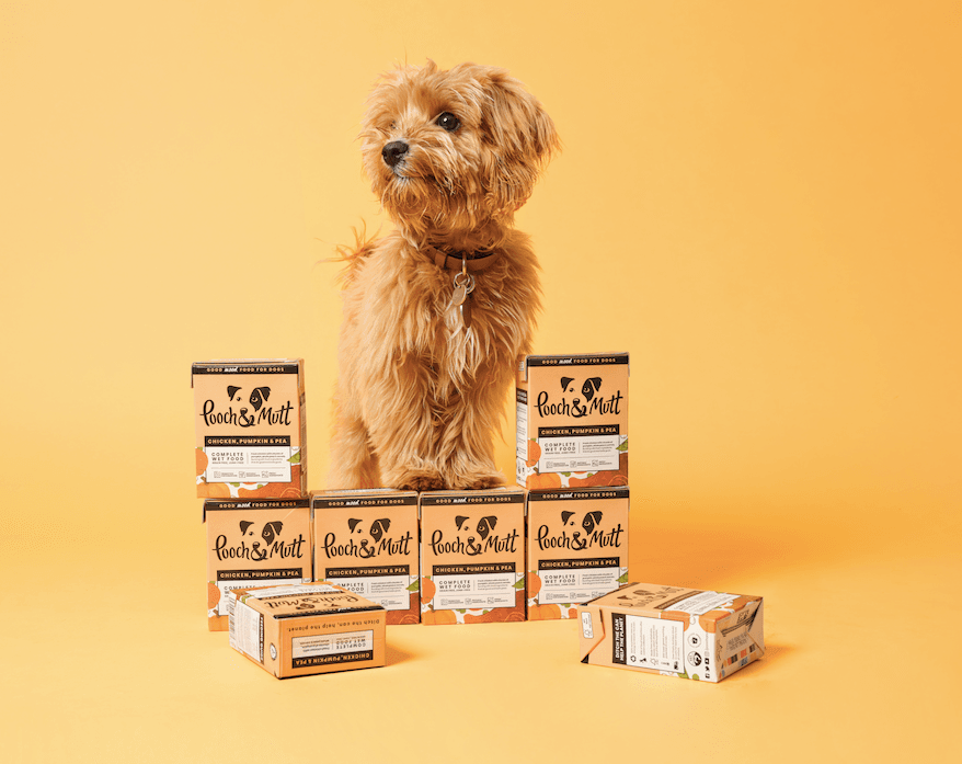 Pooch and Mutt 63: Backdrops