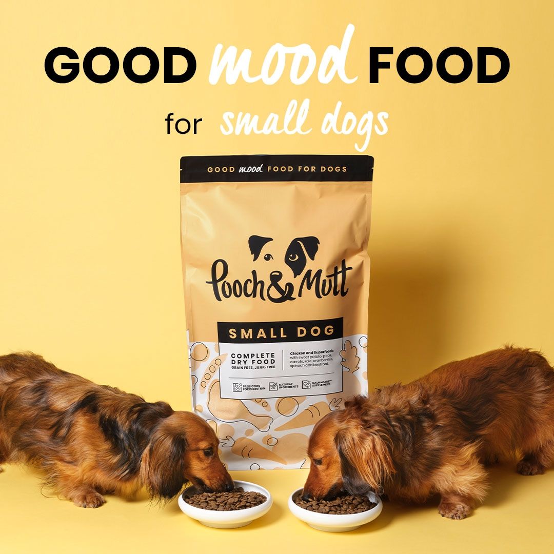 Pooch and Mutt 64: Infographics