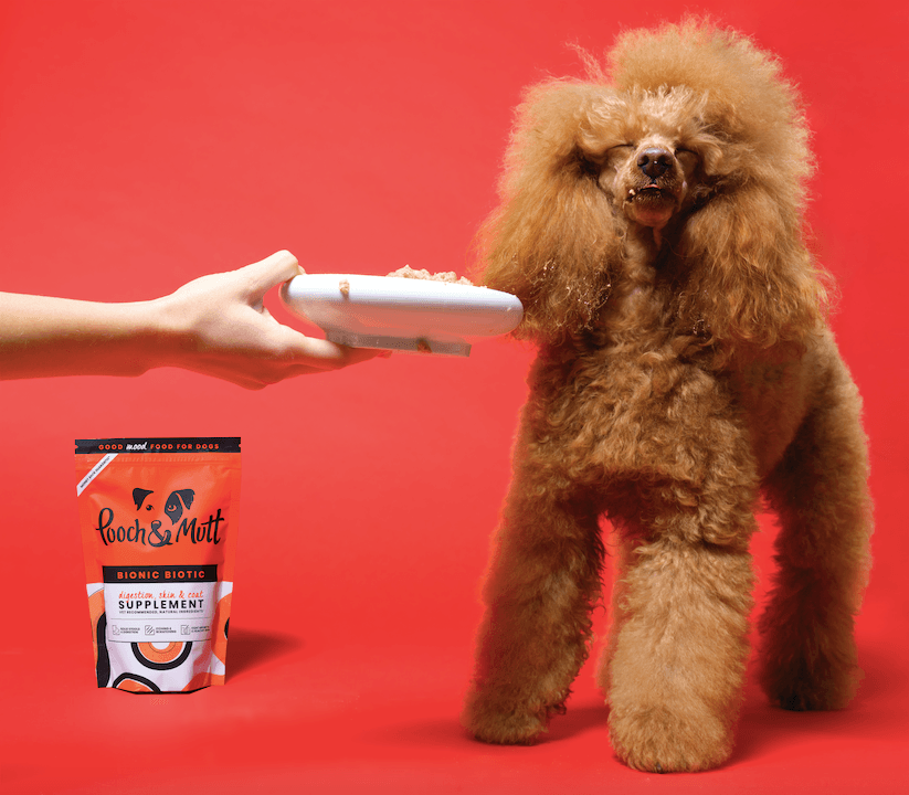 Pooch and Mutt 69: Backdrops