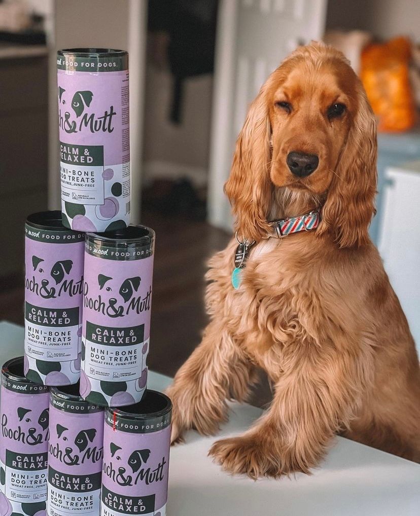 Pooch and Mutt 70: UGC Secondary Images