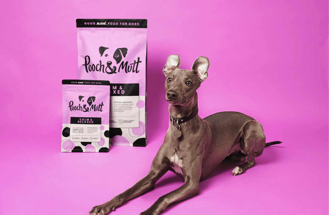 Pooch and Mutt 72: Backdrops