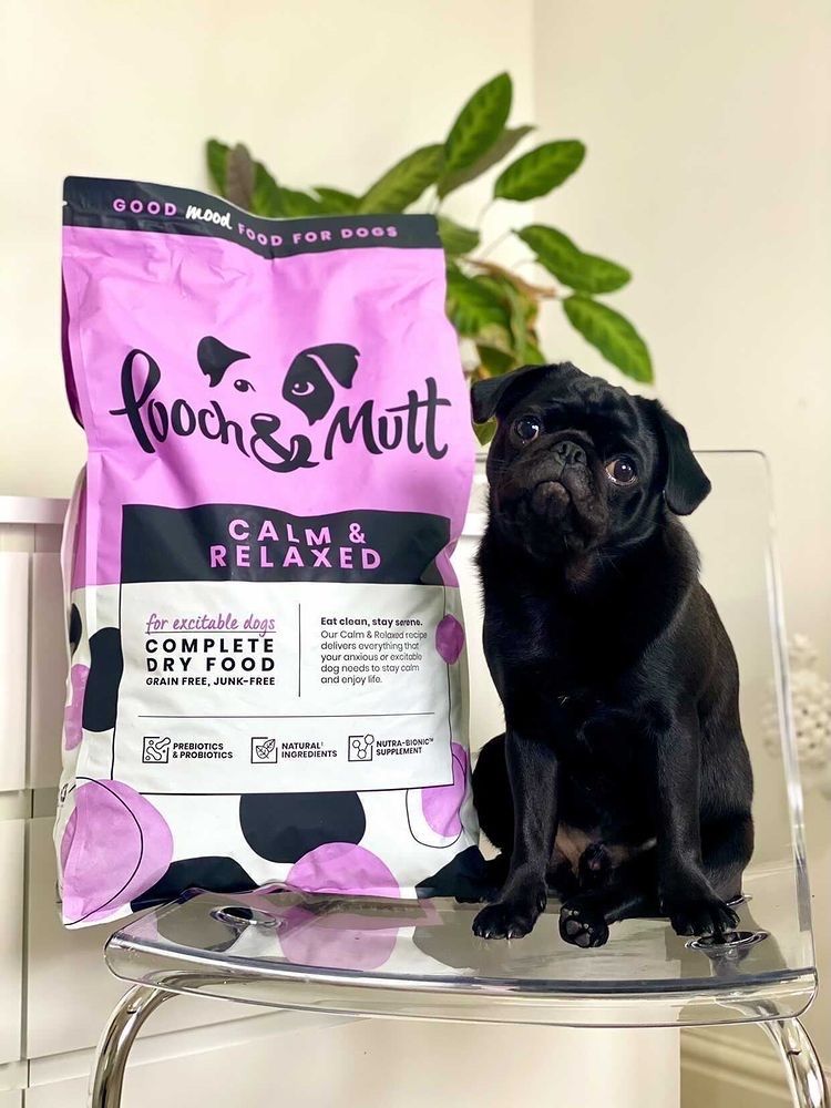 Pooch and Mutt 73: UGC Secondary Images