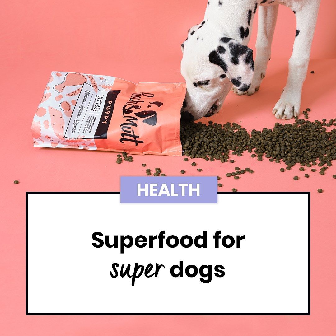 Pooch and Mutt 75: Infographics