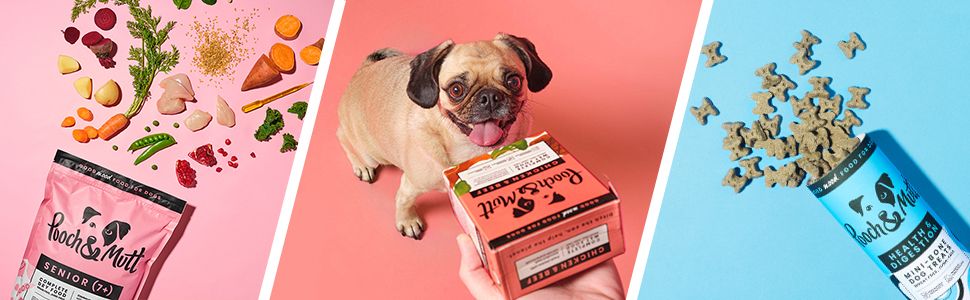 Pooch and Mutt 7: A+
