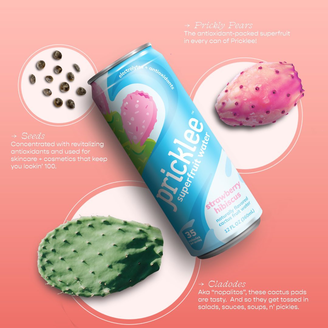 Pricklee 10: Infographics