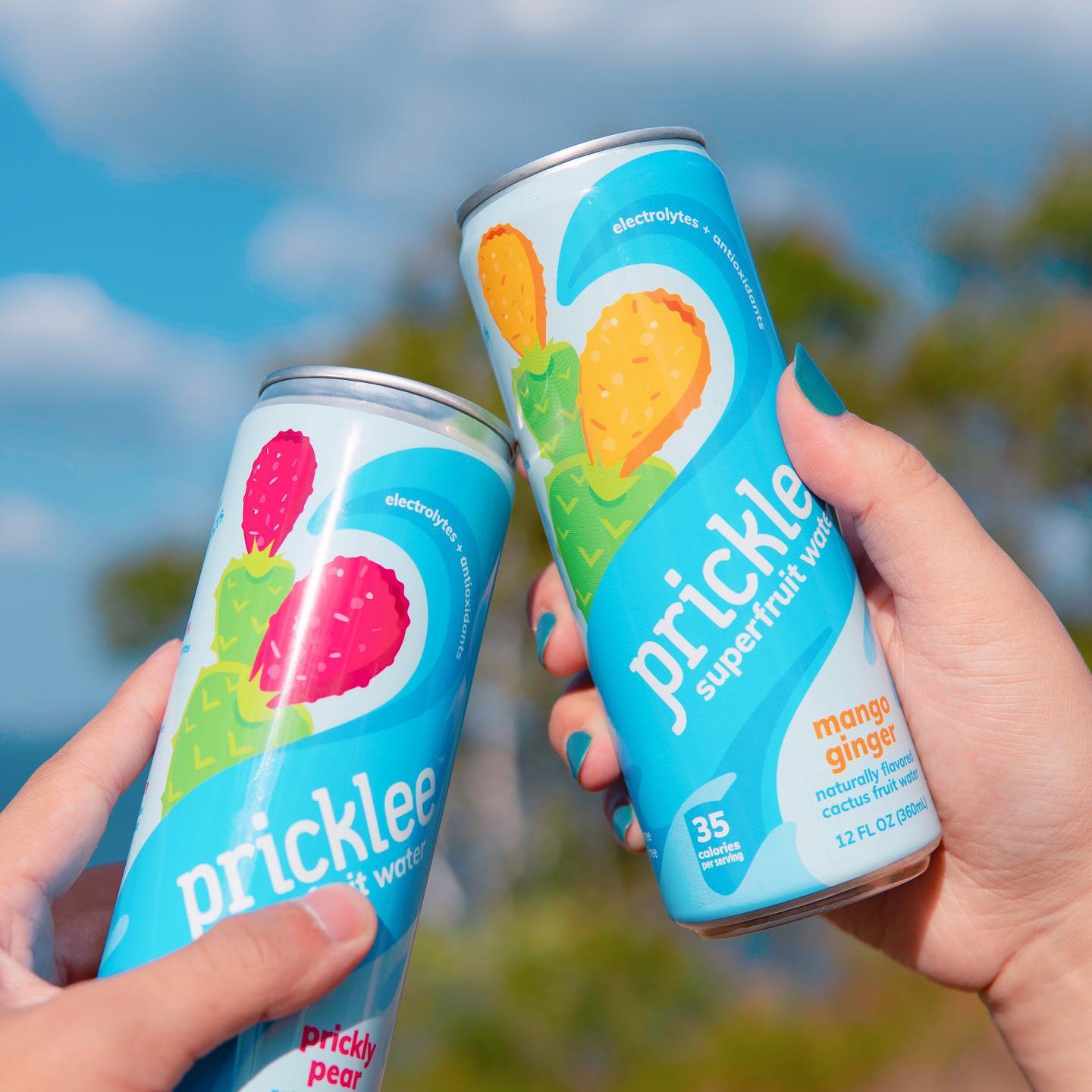 Pricklee 12: Lifestyle Secondary Images