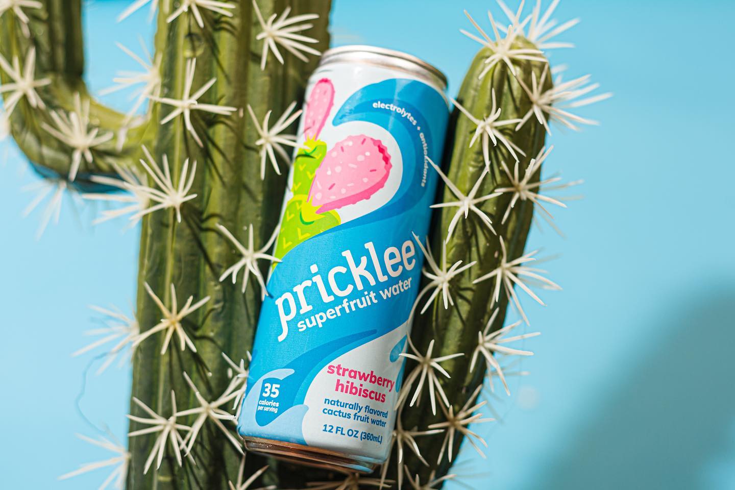 Pricklee 14: Backdrops