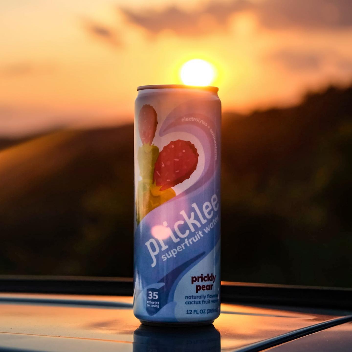 Pricklee 48: Lifestyle Secondary Images