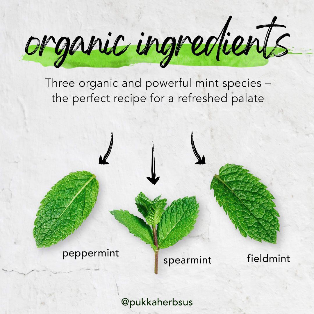 Pukka Herbs 20: Infographics