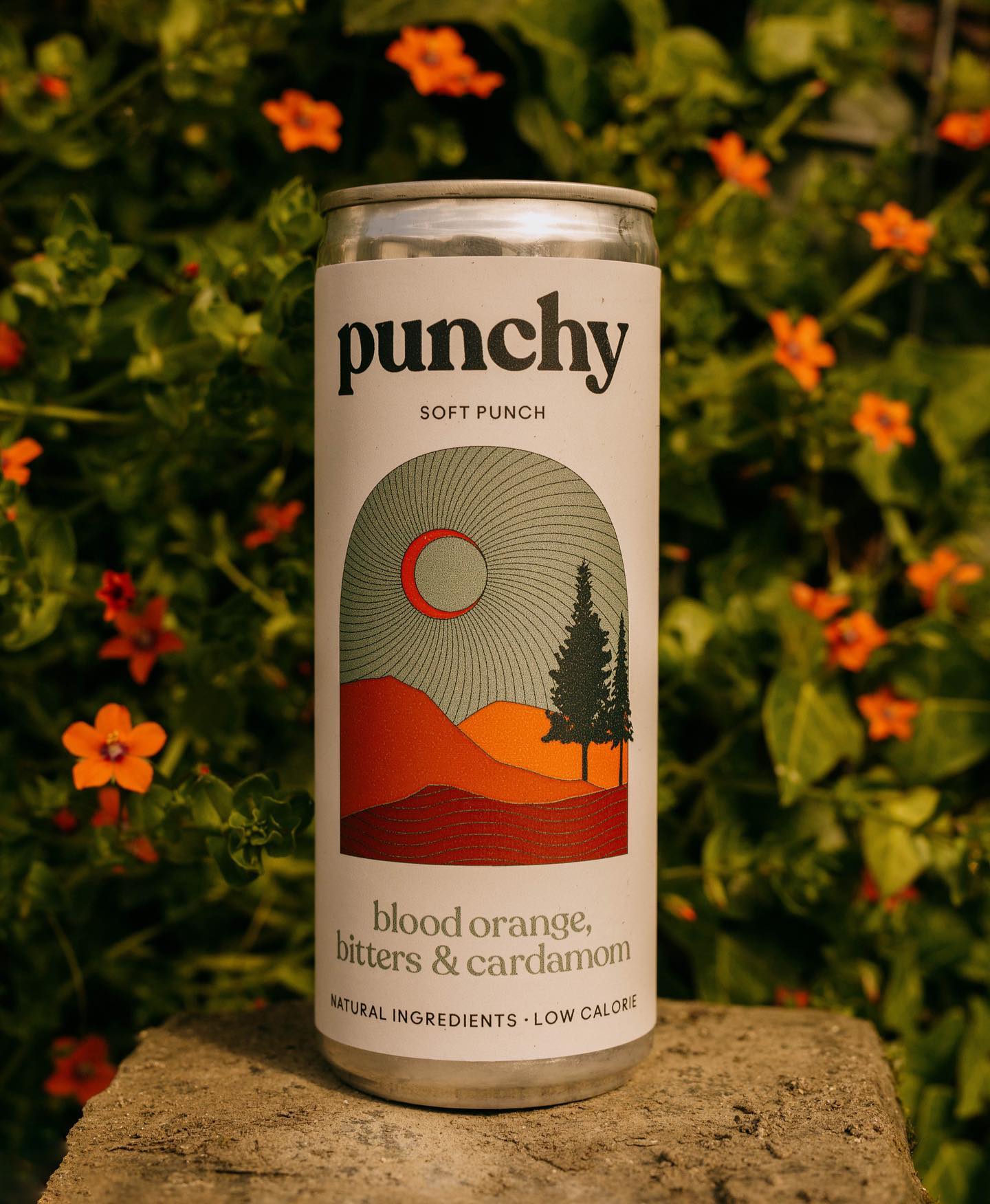 Punchy 13: Lifestyle Secondary Images