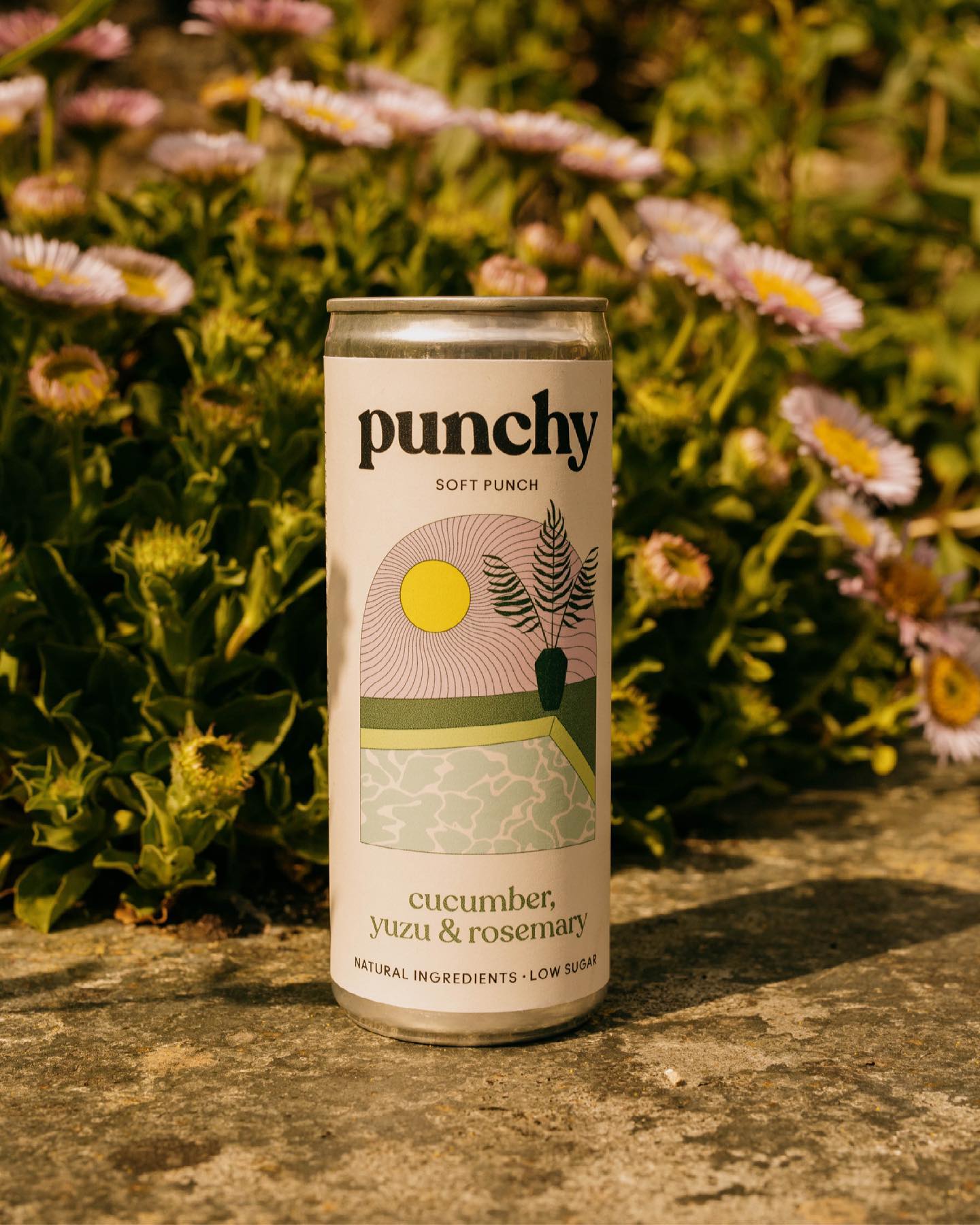 Punchy 15: Lifestyle Secondary Images