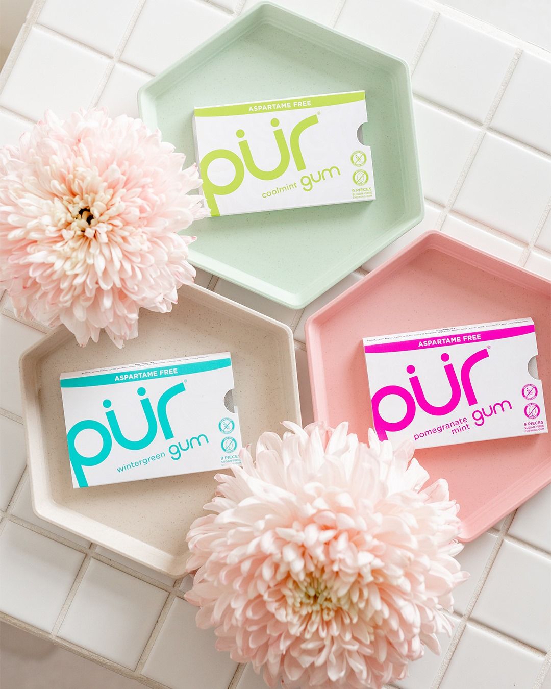 Pur 26: Lifestyle Secondary Images